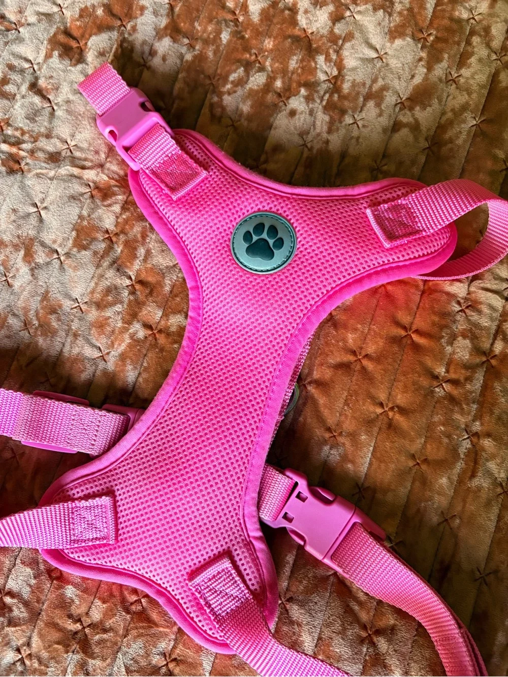 Pink Dog Harness with Paw Logo